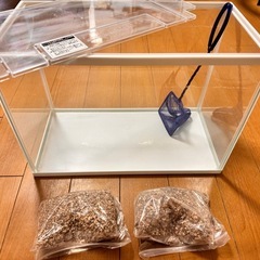 水槽とエサなど一式の画像