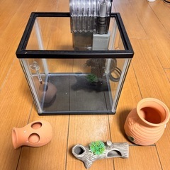 水槽とエサなど一式の画像