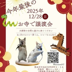 お寺で譲渡会in丹後寺