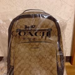 coach リックサック シグネチャー　キャンバスイーサンバックパックの画像