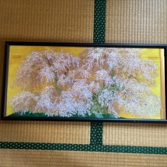 額　写真立て　複数の画像