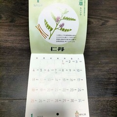 【未使用】森下仁丹 カレンダー 2026の画像