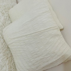 ニトリのクッション（4つ）の画像