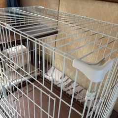 ペット用品の画像