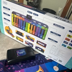 ジャイアントマットピアノの画像