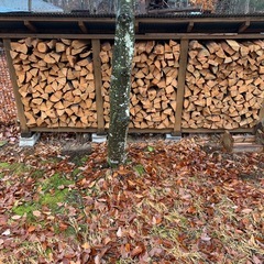 赤松の薪
の画像