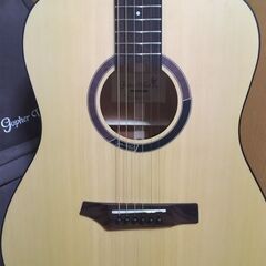 ❤️弦高調整済！「Gopher Wood i100X（サウンドピラー） 」＋ケースの画像