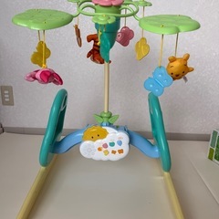 プーメリーの画像