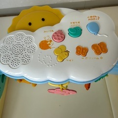 プーメリーの画像