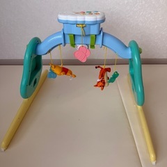 プーメリーの画像