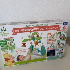 プーメリーの画像