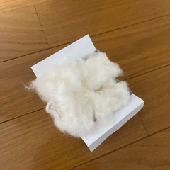 綿の種　綿花の種　160粒 種の画像