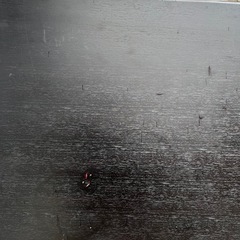 決まりました(あげます)折りたたみテーブルの画像