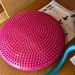 ストレッチリングとバラントレーニング
の画像