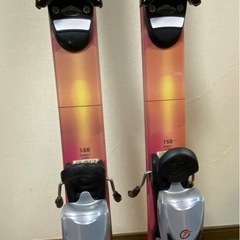 スキー板⛷️   ストック　 カバーケースの画像