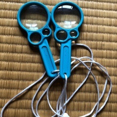 子供用　虫眼鏡　2点