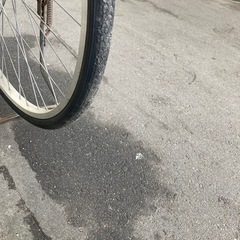 自転車02決まりましたの画像