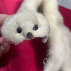 毛皮のマフラーの画像