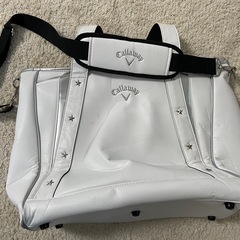 ゴルフ用バッグ・シューズケースセットの画像