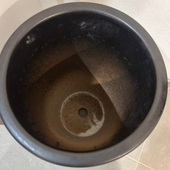 植木鉢　傘立ての画像