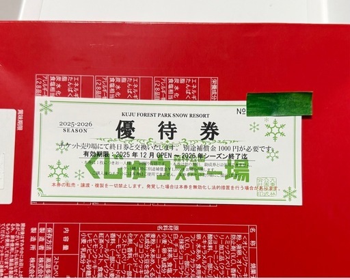 ①九重森林公園スキー場　割引券　2枚セット　