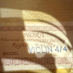 Reghin バイオリン4/4 カーボンマックの画像