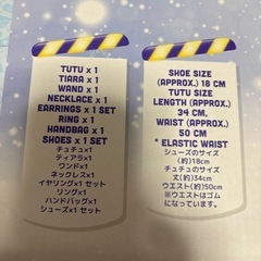 プリンセスなりきり
セットの画像