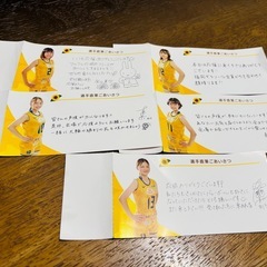 Ｖリーグ 自由席特別招待券の画像