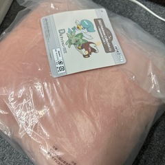 ポケモンクッション新品の画像