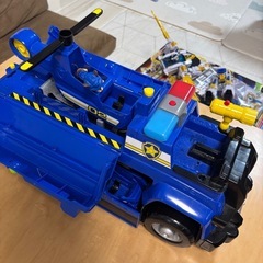 パウパト処分の画像