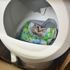 自動猫トイレ　MOVAの画像