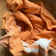 電気毛布無料！の画像