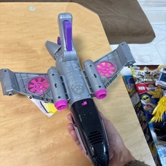 パウパト処分の画像