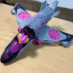 パウパト処分の画像