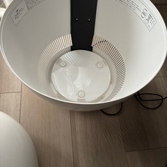 ジャンク品　バルミューダの画像