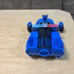 パウパト処分の画像