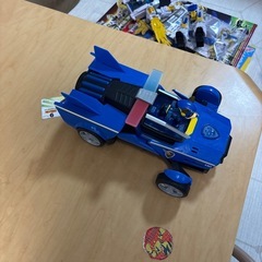 パウパト処分の画像