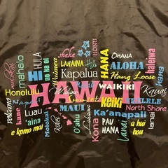 美品1回のみ使用 ハワイ限定 キャリーバッグ 軽量 ABCマート Hawaii キャリーケース の画像