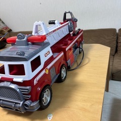 パウパト処分の画像