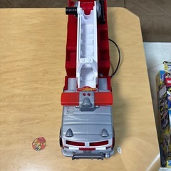 パウパト処分の画像