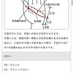 MIZUNO 手袋の画像