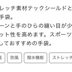 MIZUNO 手袋の画像