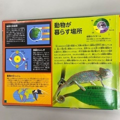 地図の図鑑　動物の画像