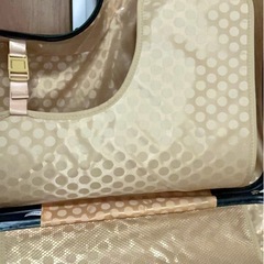 【使用少です】NORICCO ノリッコ 子どもが乗れるキャリーケース の画像