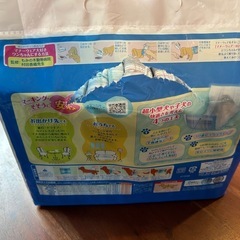 犬マナーウェアの画像