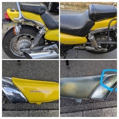 ★カワサキ　エリミネーター　250LX 94年式　実動車　Kawasaki★の画像