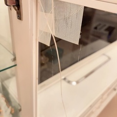 アンティーク コレクションケース キャビネットの画像