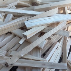 針葉樹の焚き付け③ 5キロの画像