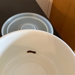 ホーロー容器と丸型容器3個の画像