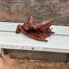 天然流木　アクアリウム、爬虫類の画像